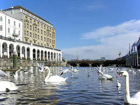 Alster Arkaden Fotos