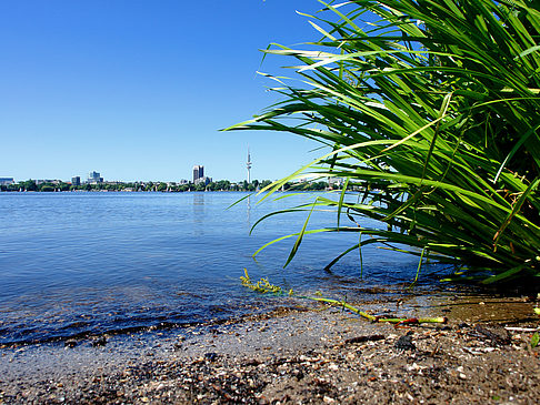 Fotos Badestrand an der Außenalster