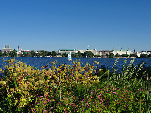 Foto Blick nach Osten von der Außenalster