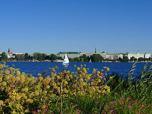 Blick nach Osten von der Außenalster Fotos