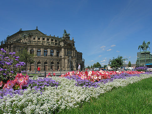 Fotos Semperoper mit Blumen | Dresden