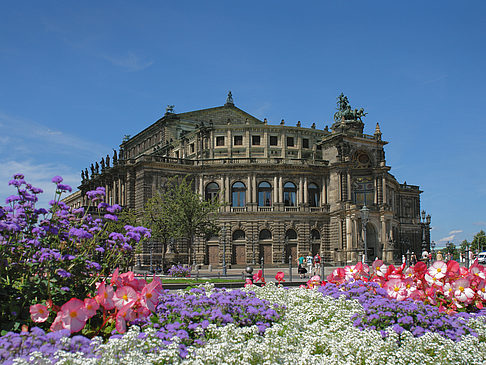 Fotos Semperoper mit Blumen