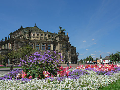 Semperoper mit Blumen Foto 